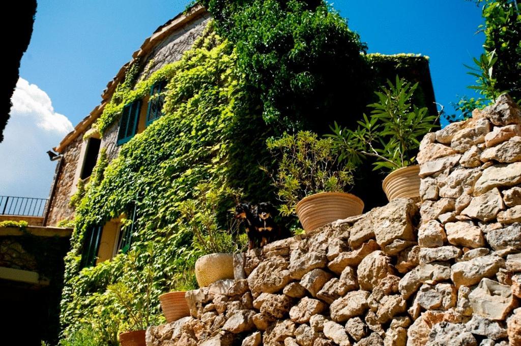 Sa Vall Valldemossa Екстер'єр фото