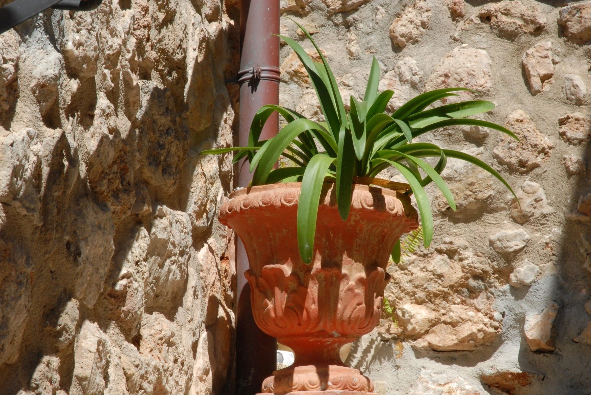 Sa Vall Valldemossa Екстер'єр фото