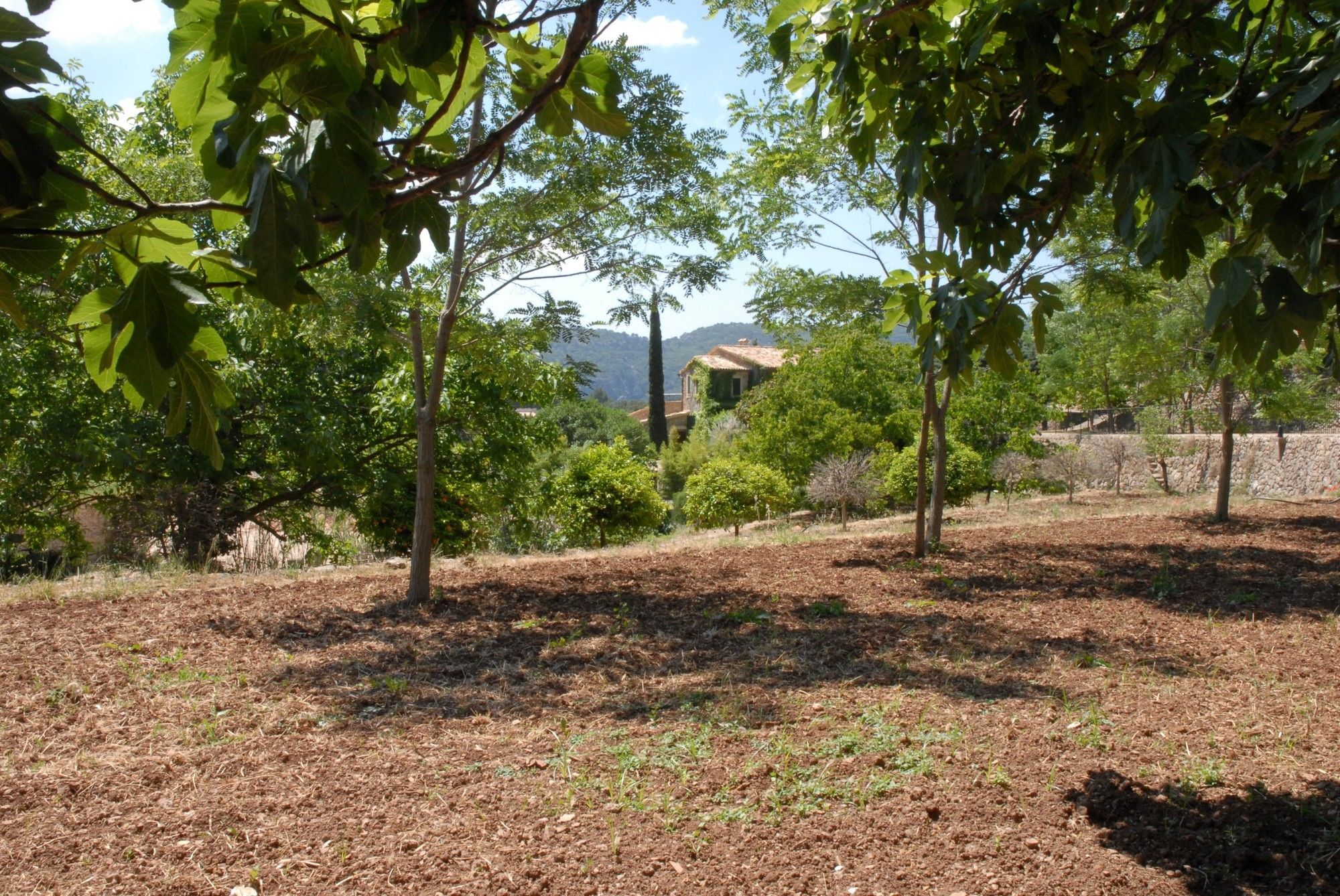 Sa Vall Valldemossa Екстер'єр фото